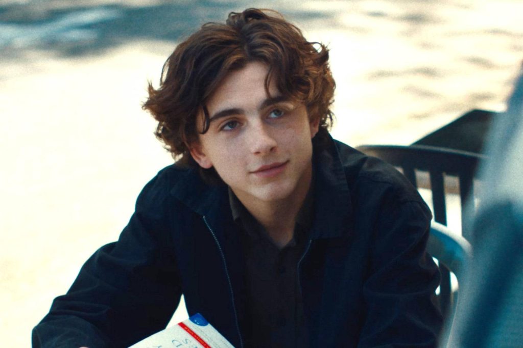 Timothée Chalamet Net Worth, Age, Height, Weight, Family, Bio/Wiki 2024