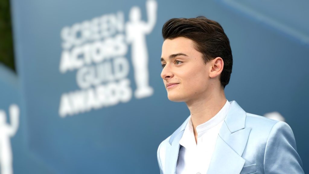 Noah Schnapp – From Child Star to Hollywood Sensation